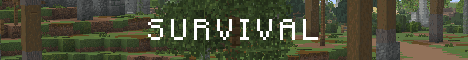 Konsole Minecraft server banner