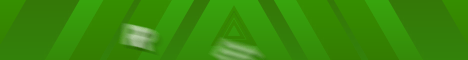 RevivalMC Minecraft server banner