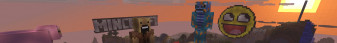 MCTT.NET banner