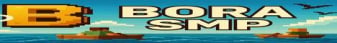Bora SMP banner