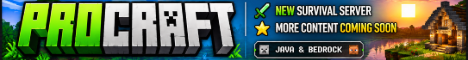 Procraft banner