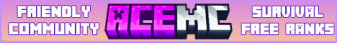 Ace MC banner