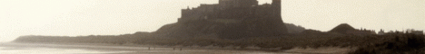Real Survival Minecraft server banner