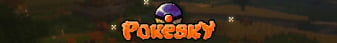 PokeSky banner