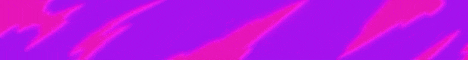 Plexic Minecraft server banner