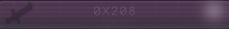 0x208 banner