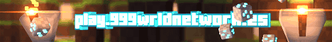 999 Wrld Network Minecraft server banner