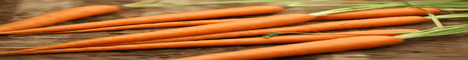 Carrat banner