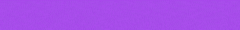 Vivacity Minecraft server banner