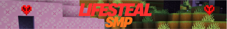 Lifesteal Anarchy banner