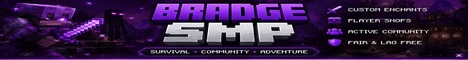 Bradge SMP banner