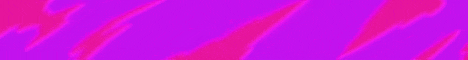 CalmCraft Minecraft server banner