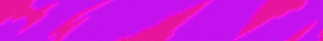 vexnetwork banner