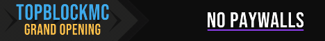 TopBlockMC Minecraft server banner