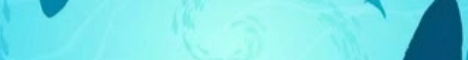 Shark Haven banner