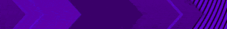 The Anarchy Minecraft server banner