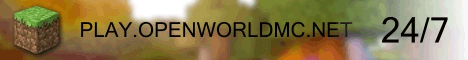 Open Wolrd Minecraft server banner