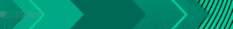 Felon Network Minecraft server banner