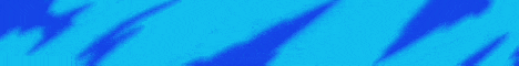 W Networks Minecraft server banner