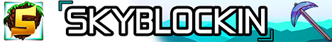 Skyblockin banner