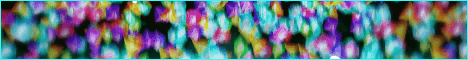 PangMC Minecraft server banner