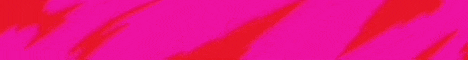 CalicoNetwork Minecraft server banner