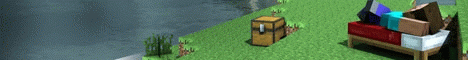 Shy Enderman banner