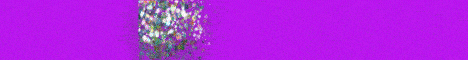 SurvivorNation Minecraft server banner