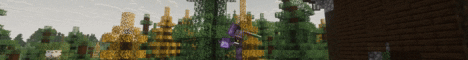Freez Minecraft server banner