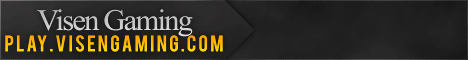 Visen Gaming Minecraft server banner