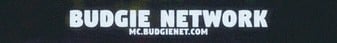 BudgieNet banner