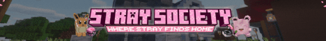 Stray Society Minecraft server banner