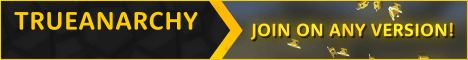 TrueAnarchey Minecraft server banner