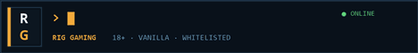 Rig Gaming Minecraft server banner