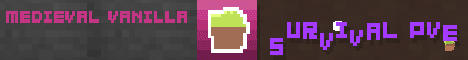 Medieval Vanilla Minecraft server banner