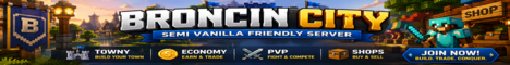 Broncin City banner