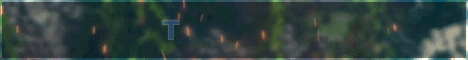 TurtleSMP banner