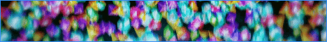RazerPVP Minecraft server banner
