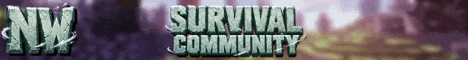 NW Minecraft server banner