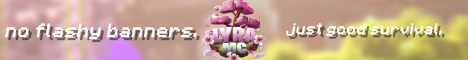 LyraMC banner