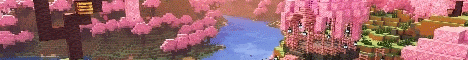 Broomstix Minecraft server banner