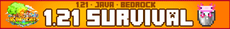 InsanityCraft Minecraft server banner