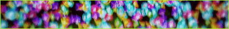 LushSMP Minecraft server banner