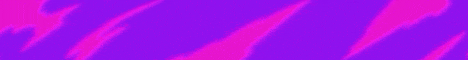 PolzSMP Minecraft server banner