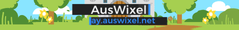 Wixel Network Minecraft server banner