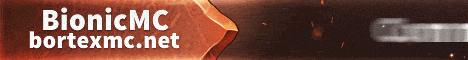 BortexMC Minecraft server banner
