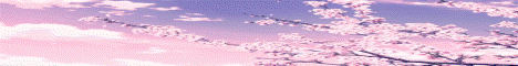BloomVale Minecraft server banner