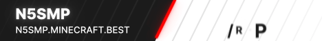 N5SMP Minecraft server banner