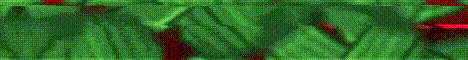 AppleMC Minecraft server banner