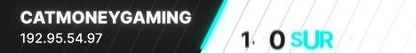 CatMoneyGaming Minecraft server banner